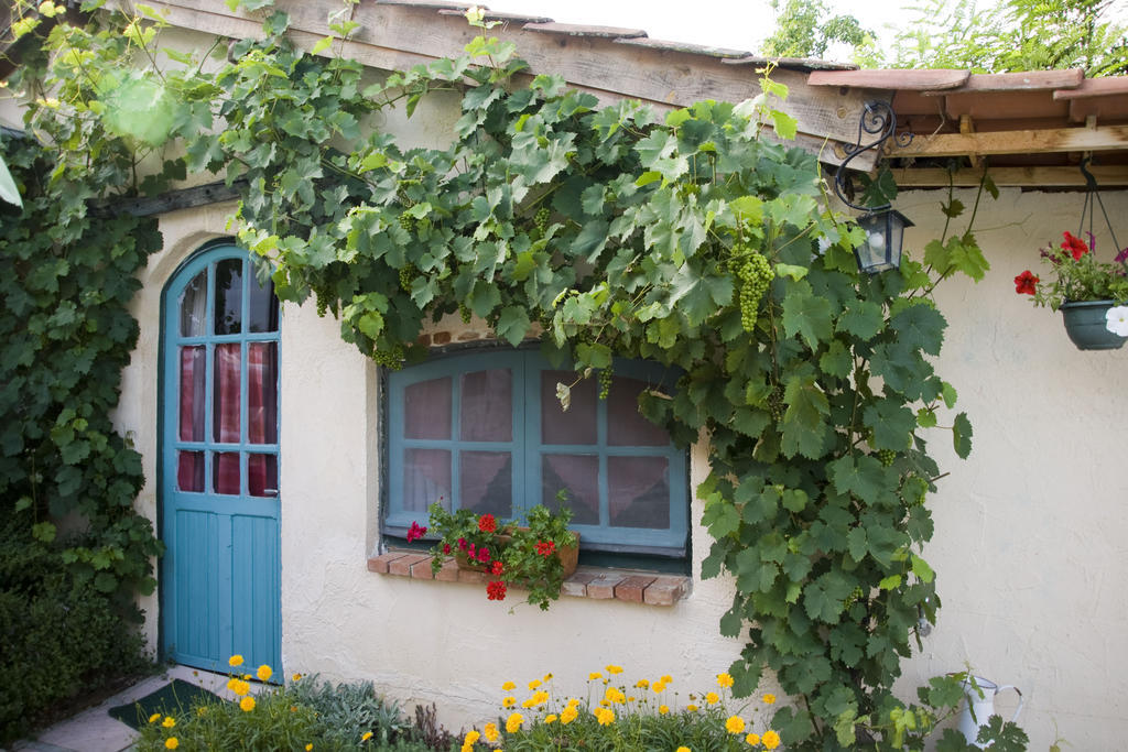 Chambre D'Hotes Oeuil De Bouc Madiran Rum bild